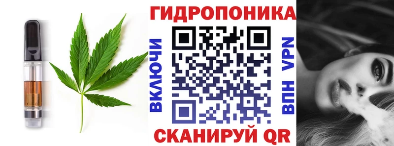 Canna-Cookies марихуана  купить закладку  Южно-Сахалинск 