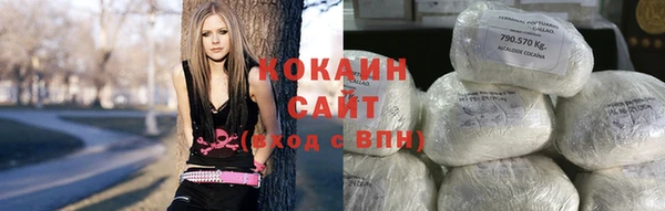 шишки Кукмор