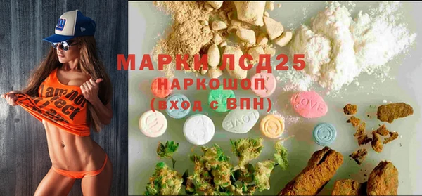 шишки Кукмор