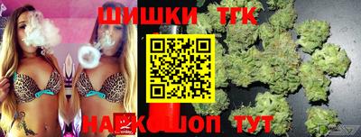 МДПВ Камышлов