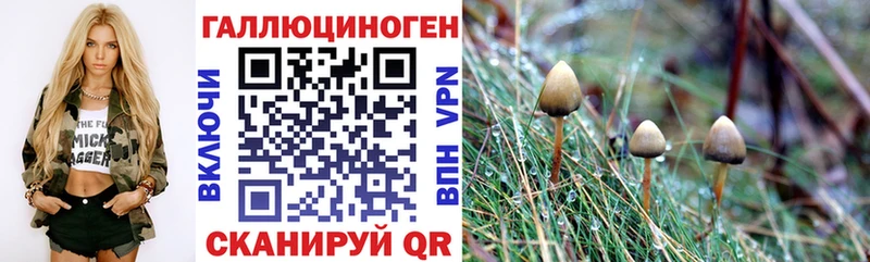 дарнет шоп  Южно-Сахалинск  Галлюциногенные грибы Magic Shrooms 
