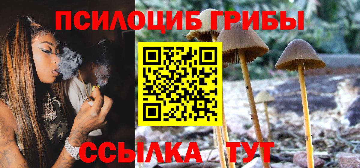 Псилоцибиновые грибы ЛСД Южно-Сахалинск